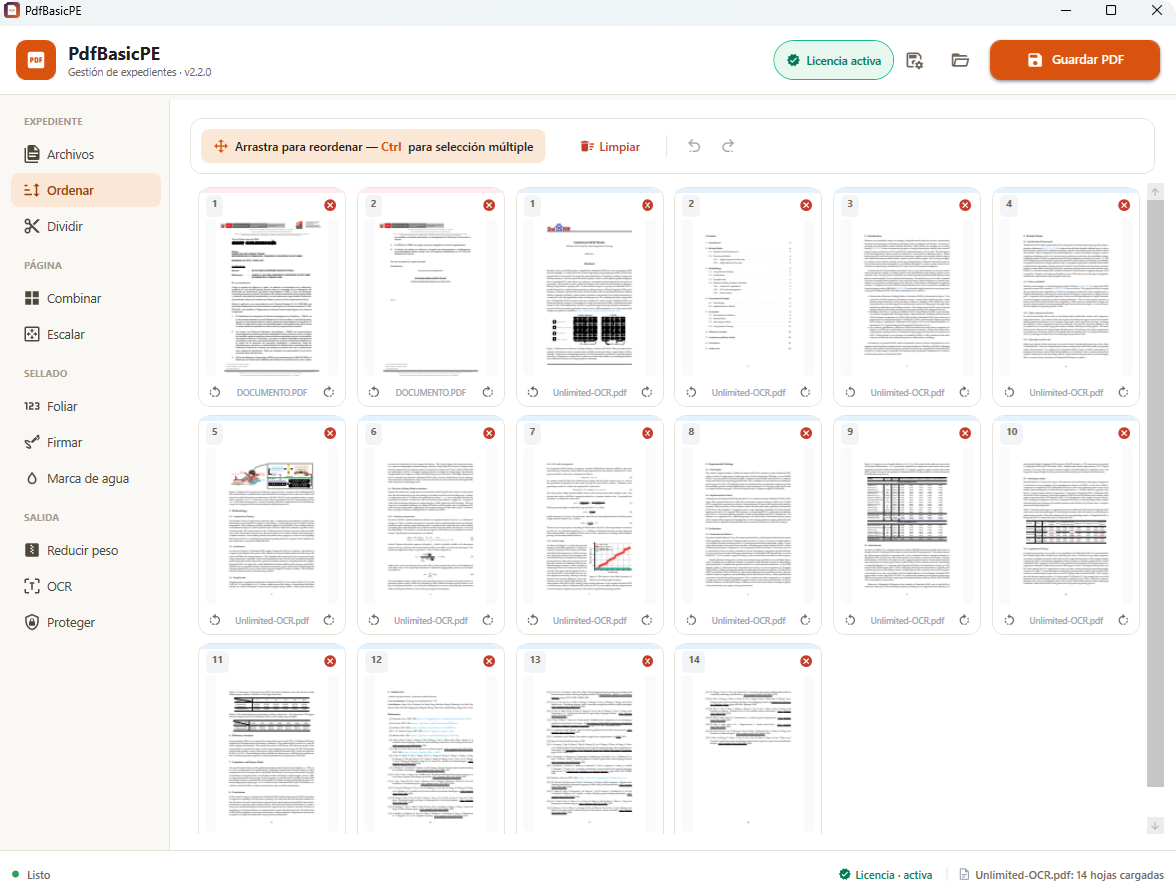 Vista de ordenamiento de paginas con miniaturas y drag and drop